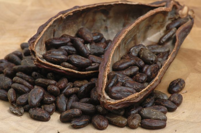 Roasted Cacao Beans